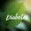 Resumimos la evidencia disponibles sobre el Kratom como tratamiento de la diabetes