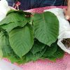 Venta callejera de Kratom en Thailandia