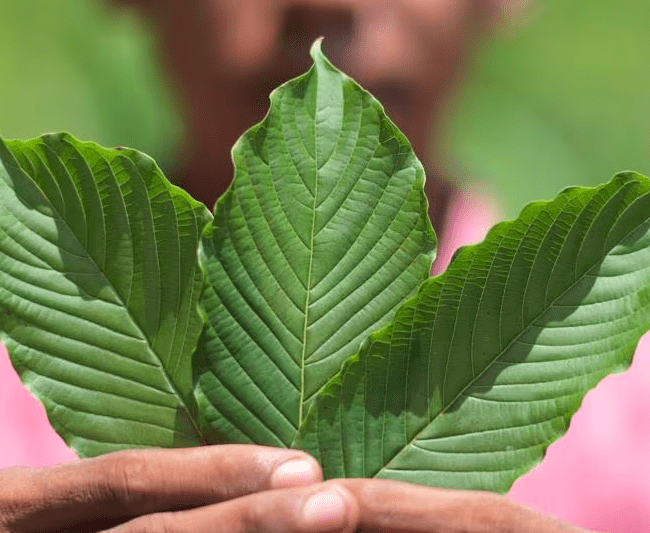 Cabecera efectos del Kratom