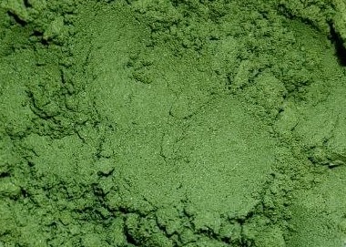 Macrofotografía de Kratom Super Green lote #A0007