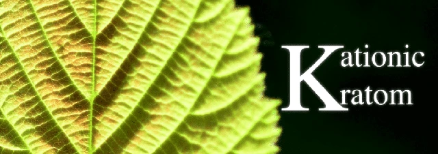 Logotipo de KationicKratom: la mejor tienda para comprar Kratom en España