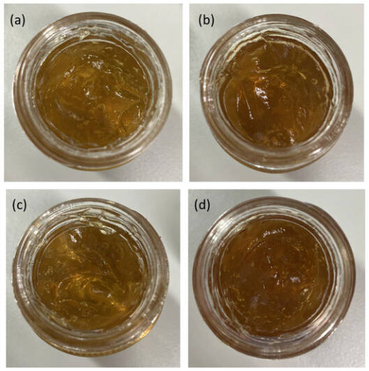 Imagen que muestra 4 geles elaborados con nanopartículas de Kratom a partir de 4 variedades diferentes de esta planta