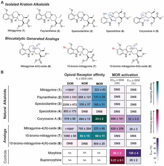 En esta imagen observamos la estructura molecular de los compuestos estudiados y sus propiedades farmacológicas según ensayos in vitro.
